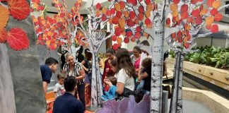 Crianças autistas participam de sessão exclusiva no evento “Frozen II” no Iguatemi Esplanada