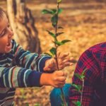 crianças solo plantas