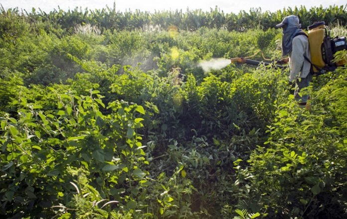 Anvisa aprovou novo marco regulatório para avaliação e classificação de agrotóxicos