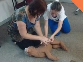 veterinária Andressa Gontijo apresenta orientações de primeiros socorros para animais domésticos