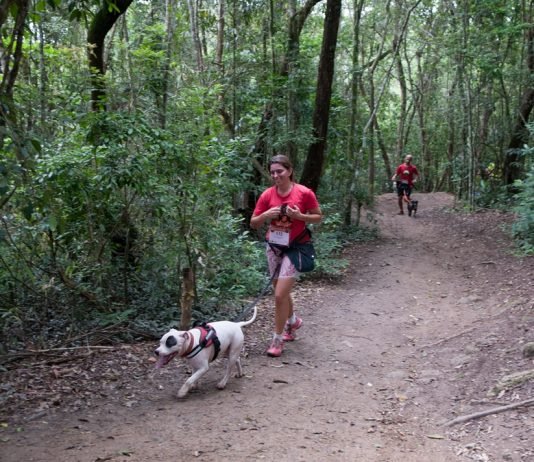 Localizado em São Roque, há 60 quilômetros da capital paulista, espaço paradisíaco receberá o famoso Treinão Premiado de Canicross Divulgação