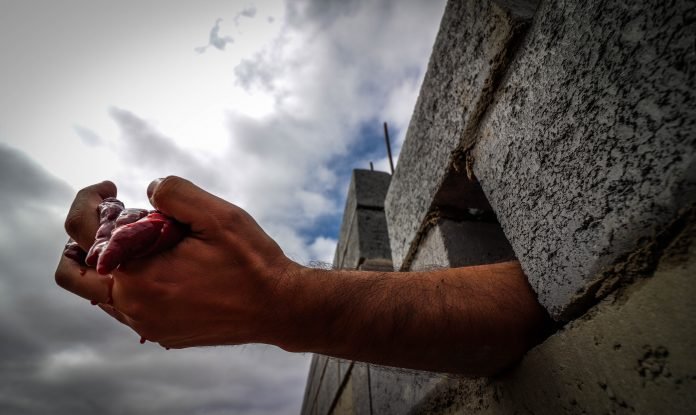 NÚCLEO DE ARTES CÊNICAS DO SESI-SP ESTREIA TEMPORADA DE ESPETÁCULOS DO PROJETO CENA LIVRE