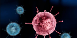Saúde monitora casos suspeitos de coronavírus no interior e capital