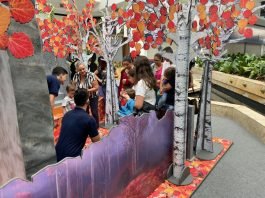 Crianças autistas participam de sessão exclusiva no evento “Frozen II” no Iguatemi Esplanada