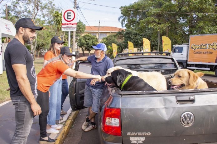 Jundiaí recebe o evento Drive Pet