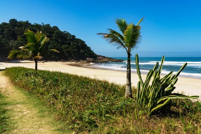 São Sebastião - Praia da Jureia - foto Macos Bonello