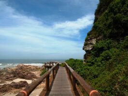 Ilha do Mel - Envato Imagens