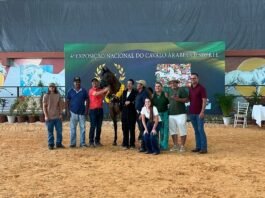 Exposição de Cavalos Árabes movimenta Tatuí (SP) com entrada grátis e atrações diversas