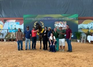 Exposição de Cavalos Árabes movimenta Tatuí (SP) com entrada grátis e atrações diversas