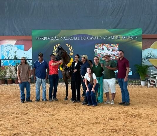 Exposição de Cavalos Árabes movimenta Tatuí (SP) com entrada grátis e atrações diversas