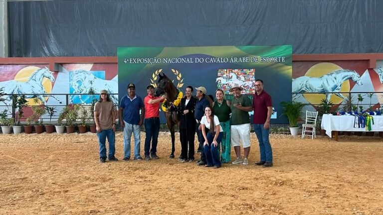 Exposição de Cavalos Árabes movimenta Tatuí (SP) com entrada grátis e atrações diversas