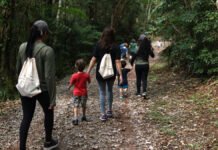 Circuitos para caminhadas na natureza - Divulgação