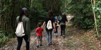 Circuitos para caminhadas na natureza - Divulgação