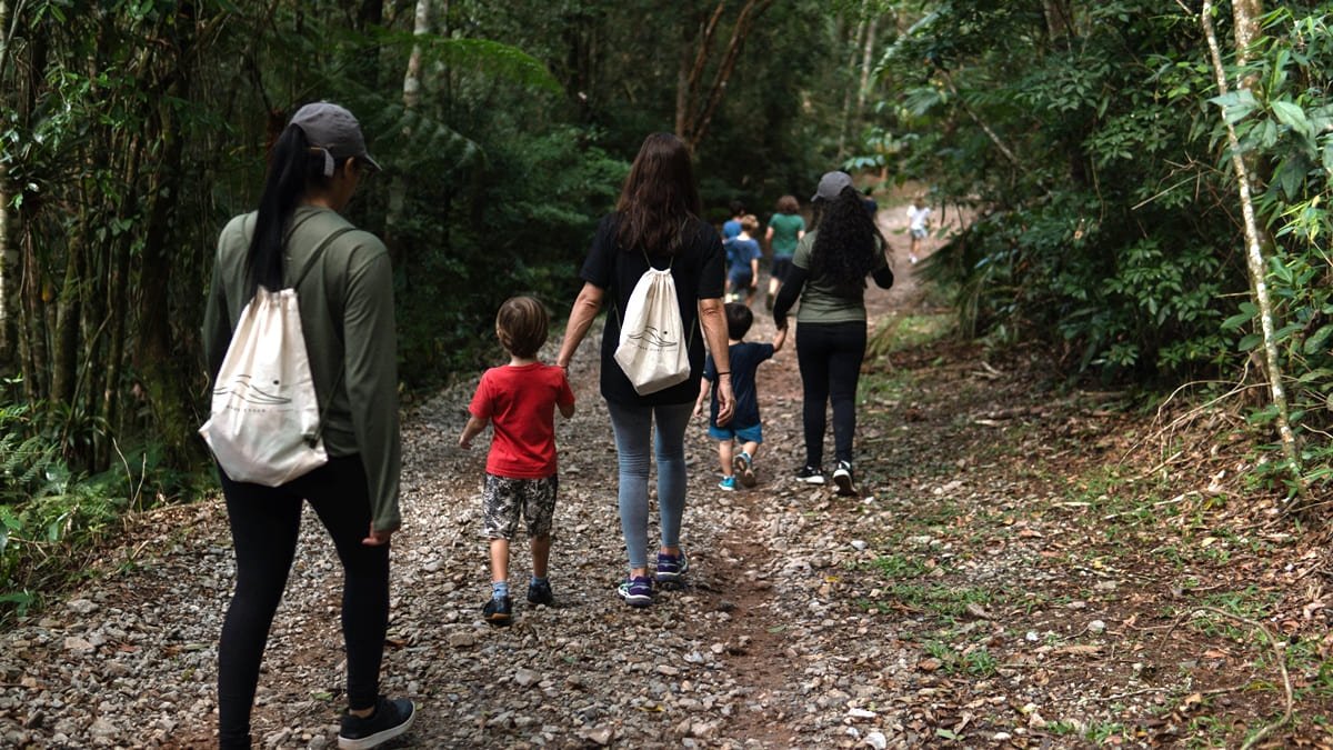 Circuitos para caminhadas na natureza - Divulgação