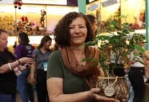 Microempreendedoras da região se destacam em loja colaborativa da Feira do Empreendedor 2025 Microempreendedoras da região se destacam em loja colaborativa da Feira do Empreendedor 2025 - Divulgação