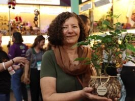 Microempreendedoras da região se destacam em loja colaborativa da Feira do Empreendedor 2025 - Divulgação