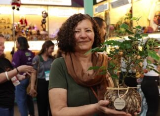 Microempreendedoras da região se destacam em loja colaborativa da Feira do Empreendedor 2025 - Divulgação