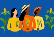 Capacitação para mulheres do agro chega a Itapetininga com palestras e orientação do Sebrae - Ilustração