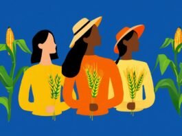 Capacitação para mulheres do agro chega a Itapetininga com palestras e orientação do Sebrae - Ilustração