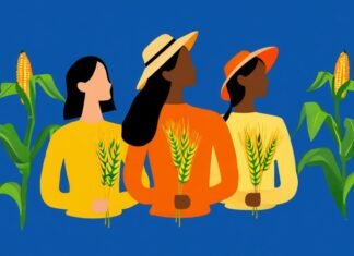 Capacitação para mulheres do agro chega a Itapetininga com palestras e orientação do Sebrae - Ilustração