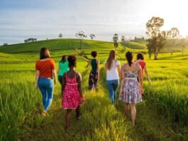 Itapetininga recebe programa de saúde voltado às mulheres do campo - Ilustração