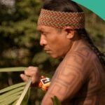 Mostra internacional ECOCINE será exibida gratuitamente em Itapetininga Mostra internacional ECOCINE será exibida gratuitamente em Itapetininga - Divulgação