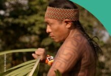 Mostra internacional ECOCINE será exibida gratuitamente em Itapetininga - Divulgação