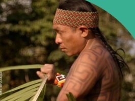 Mostra internacional ECOCINE será exibida gratuitamente em Itapetininga - Divulgação