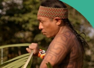 Mostra internacional ECOCINE será exibida gratuitamente em Itapetininga - Divulgação