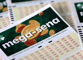 Brasil se firma entre os maiores mercados de bets; interior paulista registra prêmios da Mega-Sena Brasil se firma entre os maiores mercados de bets; interior paulista registra prêmios da Mega-Sena - Reprodução