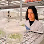 Mulheres lideram pesquisas em biotecnologia florestal da Suzano em Itapetininga, diz empresa