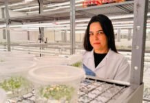 Mulheres lideram pesquisas em biotecnologia florestal da Suzano em Itapetininga, diz empresa