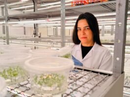 Mulheres lideram pesquisas em biotecnologia florestal da Suzano em Itapetininga, diz empresa
