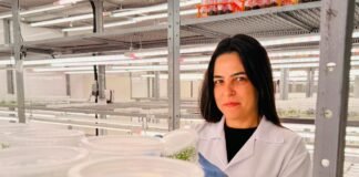 Mulheres lideram pesquisas em biotecnologia florestal da Suzano em Itapetininga, diz empresa
