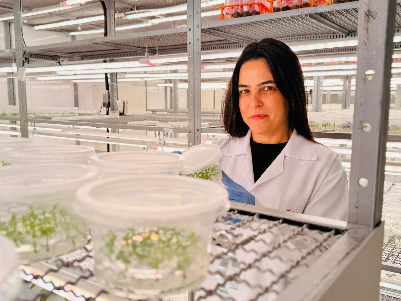 Mulheres lideram pesquisas em biotecnologia florestal da Suzano em Itapetininga, diz empresa