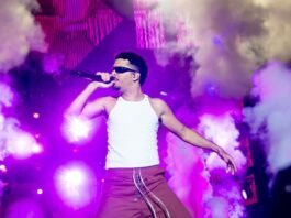 Hopi Hari recebe festival LGBT+ com Pedro Sampaio, Pabllo Vittar e Linn da Quebrada - Divulgação